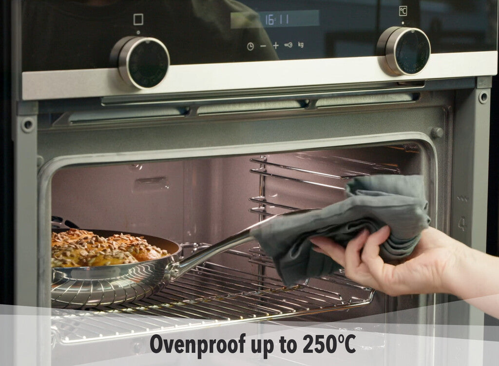 HaptIQ stegepande – grafik om ovnfasthed op til 250 °C